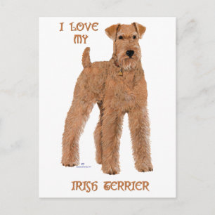 Love My Irish Terrier Postcard