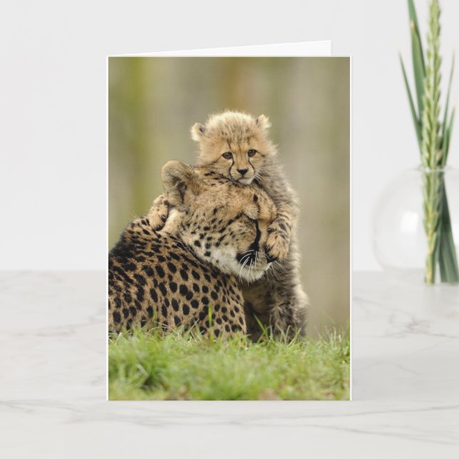 Love My Mummy Holiday Card (Front)