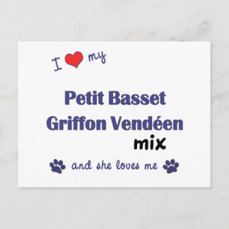 Love My Petit Basset Griffon Vendeen Mix (Female) Postcard