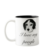 Love my poogle 