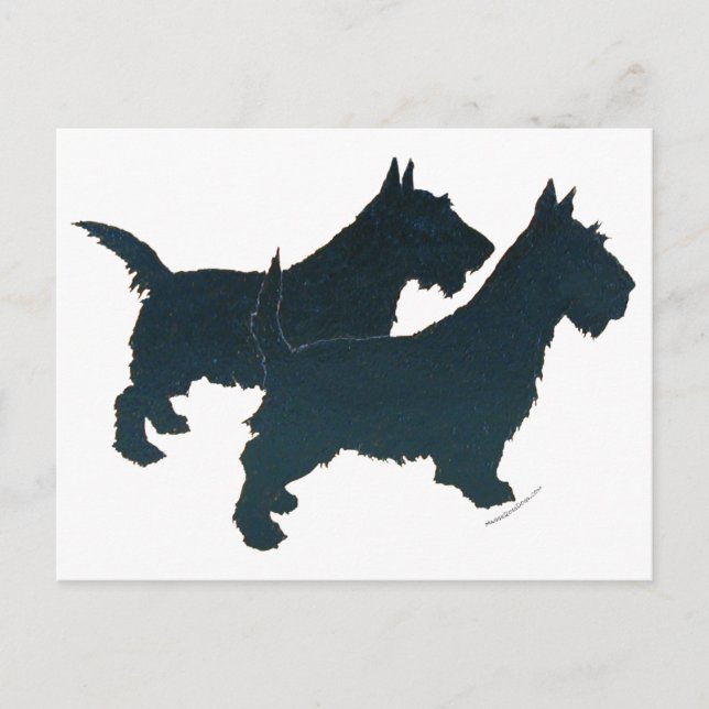 Love My Scotties Silhouette Postcard (Front)