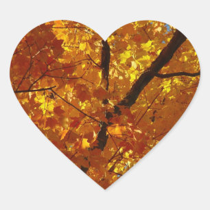 Love Nature Stickers - Fall Foliage