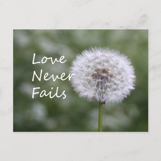 Love Never Fails Dandelion1 Corinthians 13 Postcard (Front)