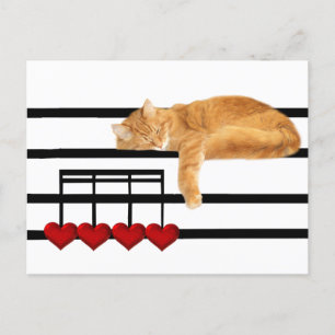 Love notes from the cat postcard