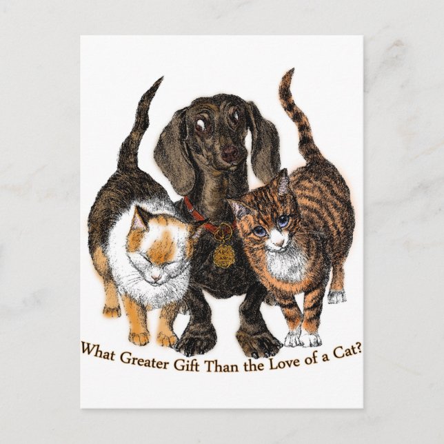 love of a cat postcard (Front)