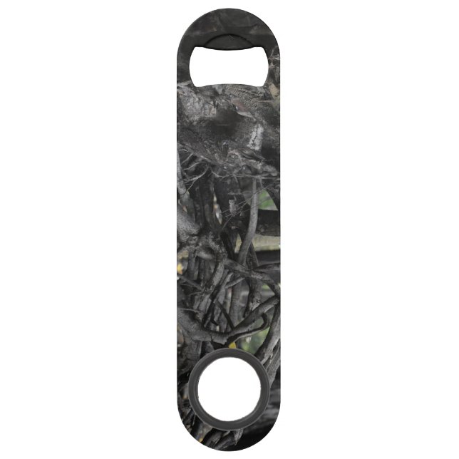 Love of a Fallen Tree (Front)