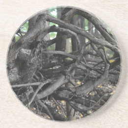 Love of a Fallen Tree Coaster
