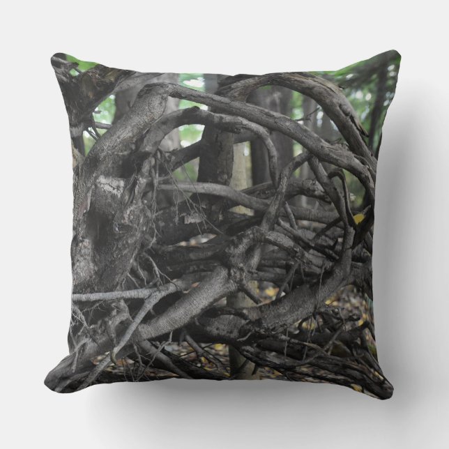 Love of a Fallen Tree Cushion (Front)