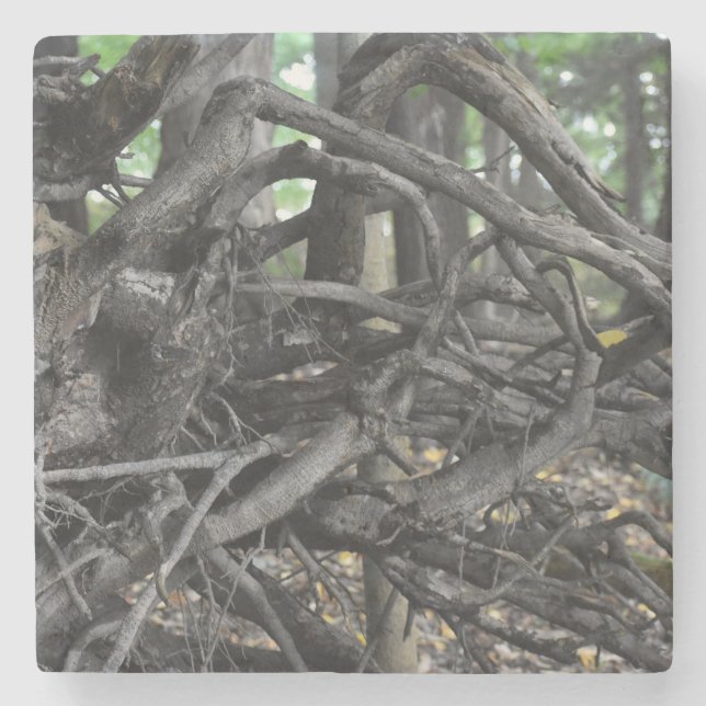 Love of a Fallen Tree Stone Coaster (Front)