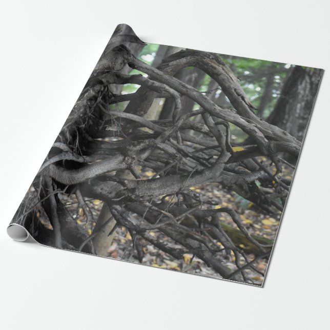 Love of a Fallen Tree Wrapping Paper (Unrolled)