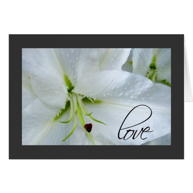 Love on a calla lily (Front Horizontal)