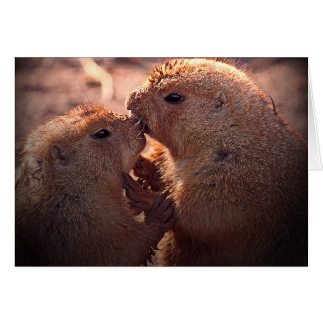 Love on the prairie (Front Horizontal)