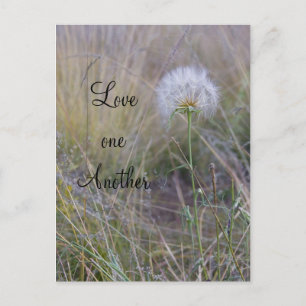 Love one another postcard