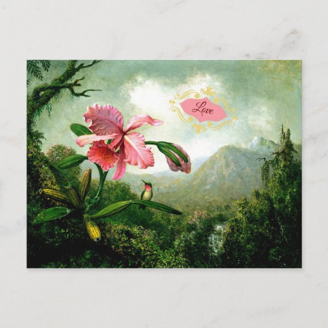 Love, Orchid and Hummingbird near a Waterfall Postcard (Front)