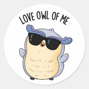 Love Owl Of Me Funny Bird Pun Classic Round Sticker