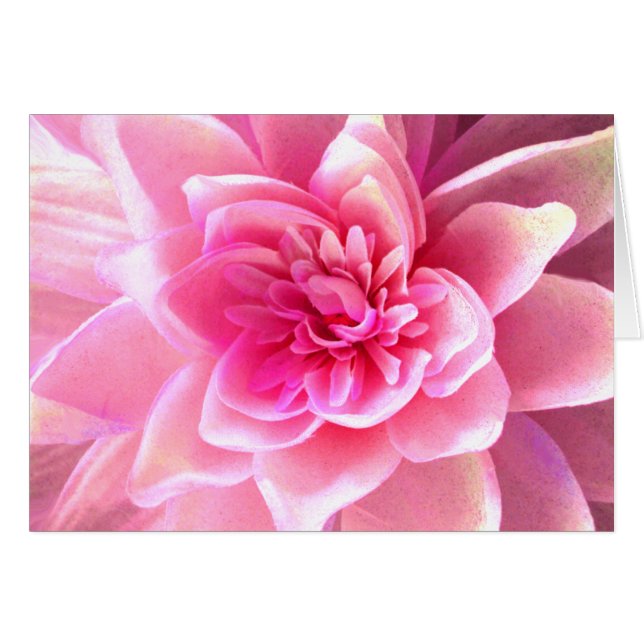 Love & Passion_ (Front Horizontal)