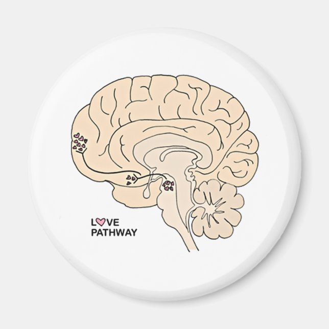 Love Pathway: Love in the Brain Magnet (Front)