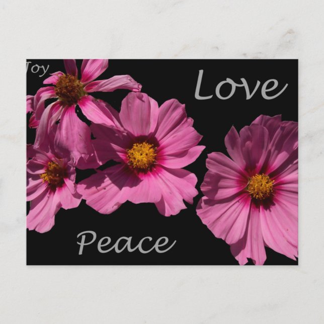 Love Peace and Joy Postcard (Front)