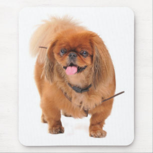 Love Pekingese Puppy Dog Mousepad