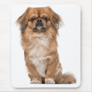 Love Pekingese Puppy Dog Mousepad