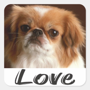 Love Pekingese Puppy Dog Sticker / Seal