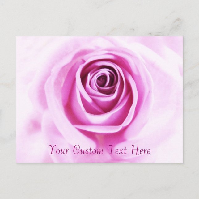 Love Pink Rose Custom text Postcard (Front)