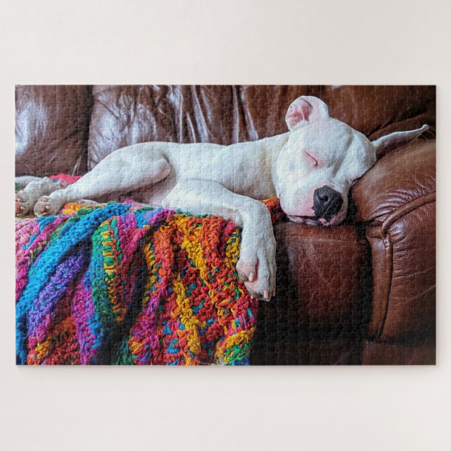 Love Pitbull Dog Sleeping on the Couch Jigsaw Puzzle (Horizontal)