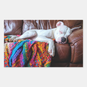 Love Pitbull Dog Sleeping on the Couch Rectangular Sticker