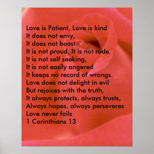LOVE POEM ON RED ROSE POSTER
