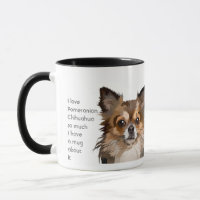 Love Pomeranian Chihuahua Dogs So Much Fun Quote