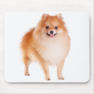 Love Pomeranian Pom Pom Puppy Dog Mousepad
