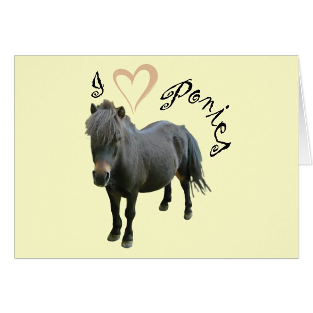 Love Ponies (Front Horizontal)