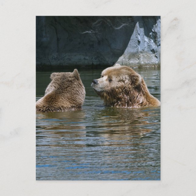 Love Postcard (Front)