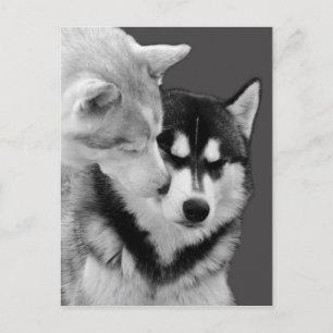 love postcard