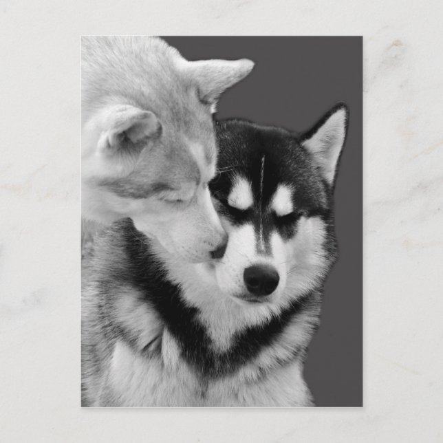 love postcard (Front)