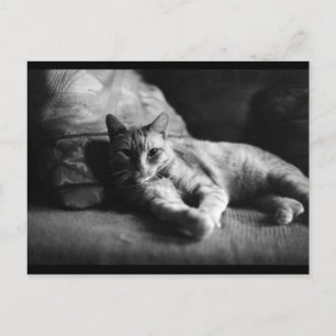 Love Postcard