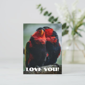 Love Postcard