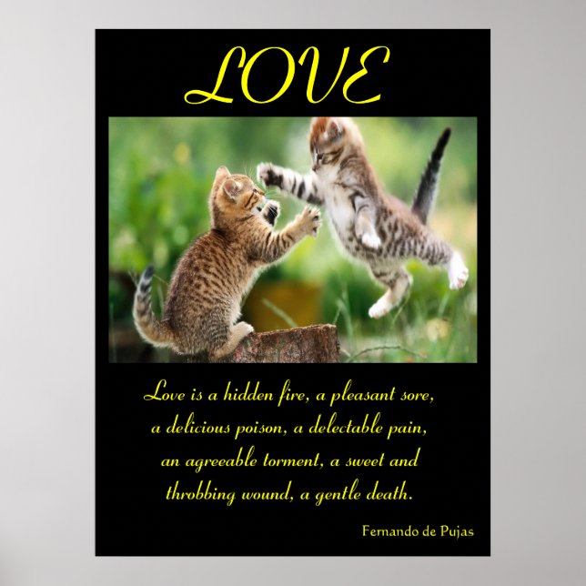 LOVE Posters Animal 3 (Front)