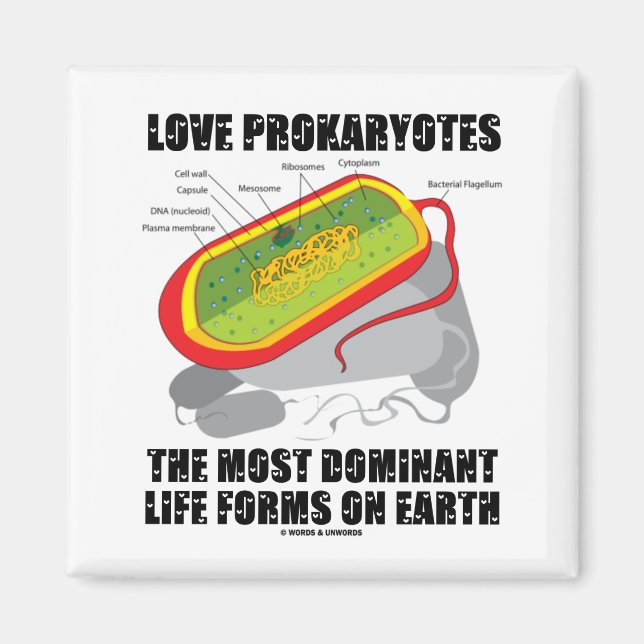 Love Prokaryotes Most Dominant Life Forms On Earth Magnet (Front)