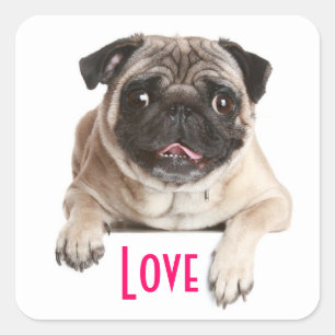 Love Pug Puppy Dog Greeting Stickers