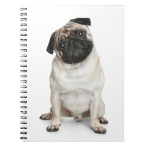 Love Pug Puppy Dog White Notebook / Journal