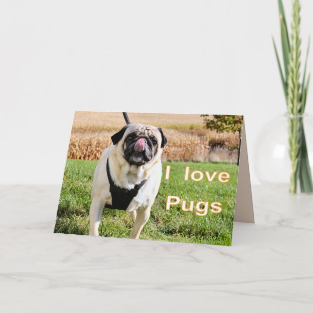 Love pugs card (Front)