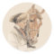 Love Rides On Four Legs Sticker