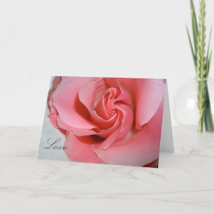 Love Rose Holiday Card