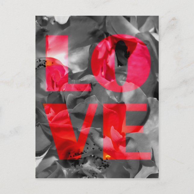 Love Rose Postcard (Front)