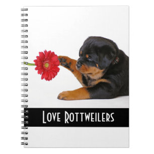 Love Rottweilers Puppy Dog with Daisy Notebook