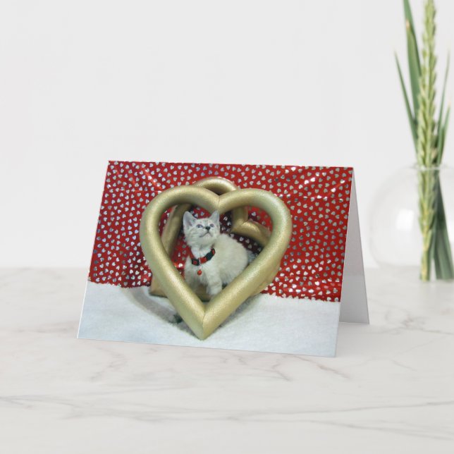 Love Sabatini Greeting Card (Front)