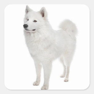 Love Samoyed Puppy Dog Sticker / Seal