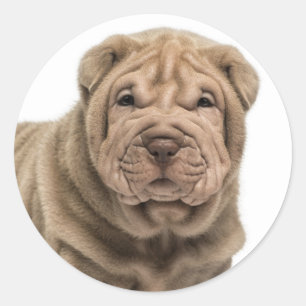 Love Shar Pei Dog Sticker / Seals