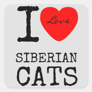 Love Siberian Cats Stickers